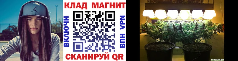 Купить КОКАИН  Псилоцибиновые грибы  АМФ  МАРИХУАНА  Гашиш  Меф мяу мяу  Инза